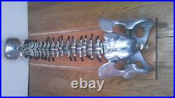 Vintage Dr. Fleet's spinal demonstrator chiropractic teaching aid metal spline